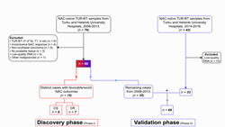Prediction of platinum-based neoadjuvant chemotherapy response in muscle-invasive bladder cancer using a multifaceted approach